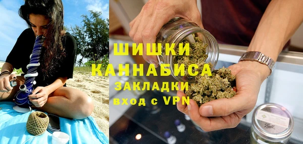 индика Алзамай