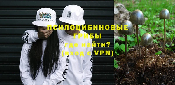 бутират Алексин