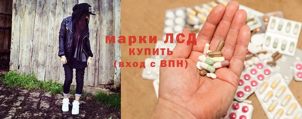 индика Алзамай