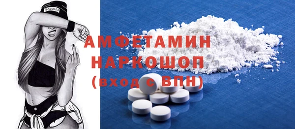 индика Алзамай