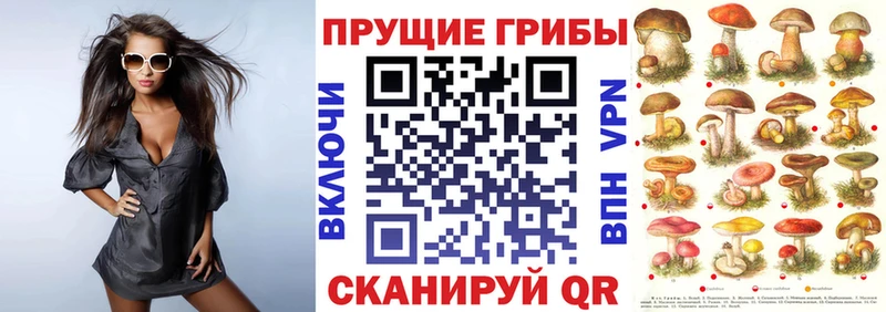 как найти наркотики  Пролетарск  Псилоцибиновые грибы мухоморы 