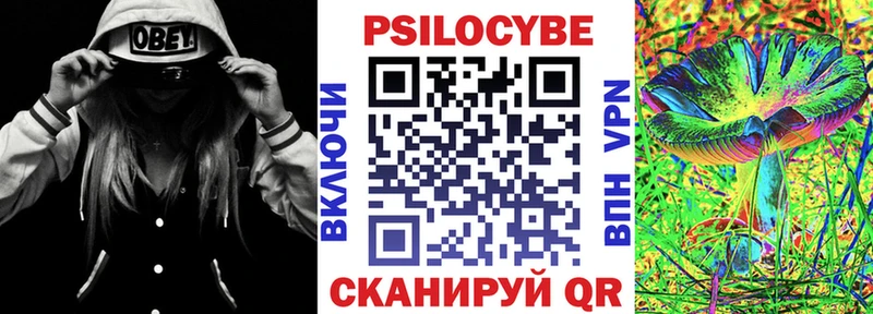 Галлюциногенные грибы Cubensis Пролетарск